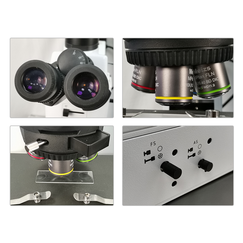 ML9000 مستوى البحث المجهر تستقيم